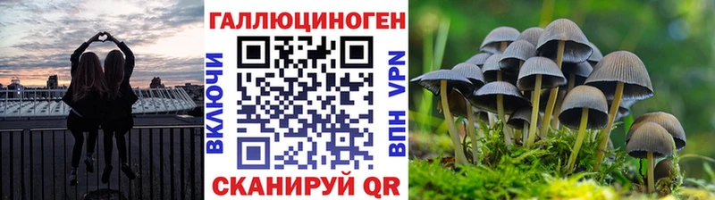 Галлюциногенные грибы ЛСД  маркетплейс как зайти  Геленджик 