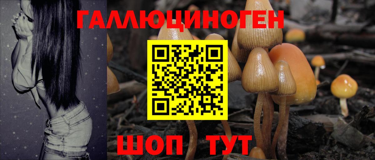 Геленджик  Галлюциногенные грибы MAGIC MUSHROOMS  Вход с VPN 